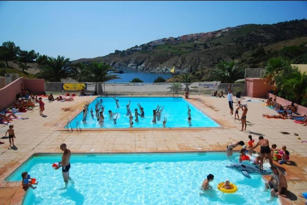 Residence Les Aloes T2 , Ideal 2 Adultes 2 Enfants A 2 Minutes De La Mer Cerbère Esterno foto